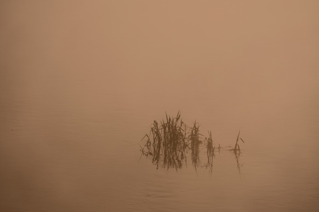 Single, focused beam of light pierces through a dense, atmospheric fog, symbolizing clarity and the true signal amidst the...